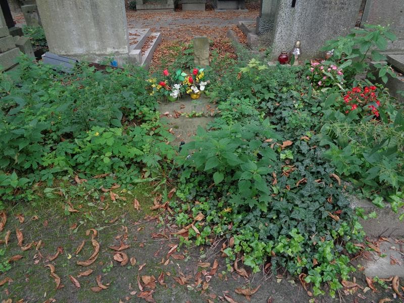 Zdjęcie grobu: Wiesław Czerwenka