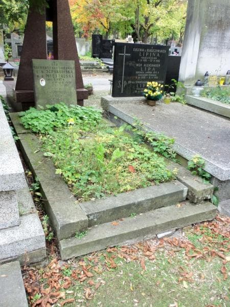Zdjęcie grobu Klementyna Mieszalska (1)
