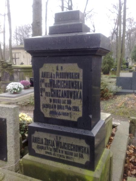 Zdjęcie grobu Wawrzyniec Chrzanowski (1)