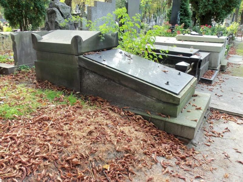 Zdjęcie grobu Brodzcy (2)