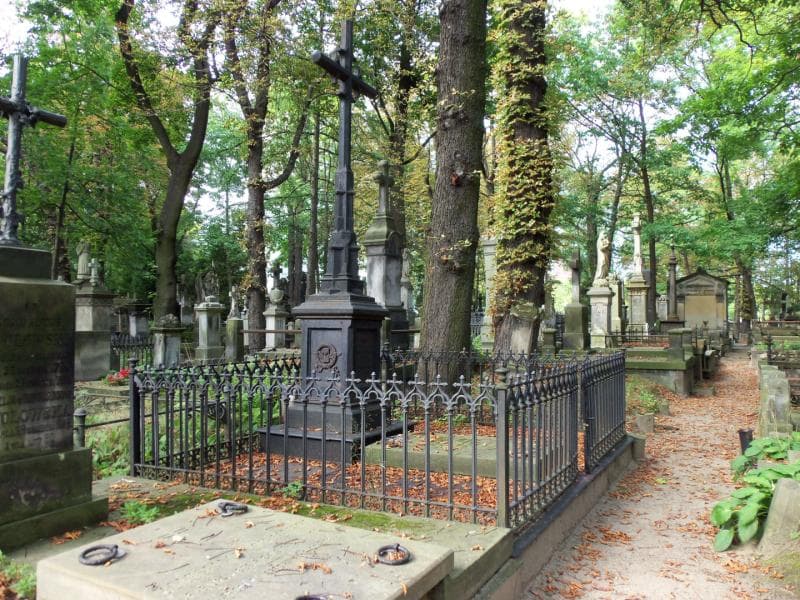 Zdjęcie grobu Bronisław Szczęsny Perzyński (1)
