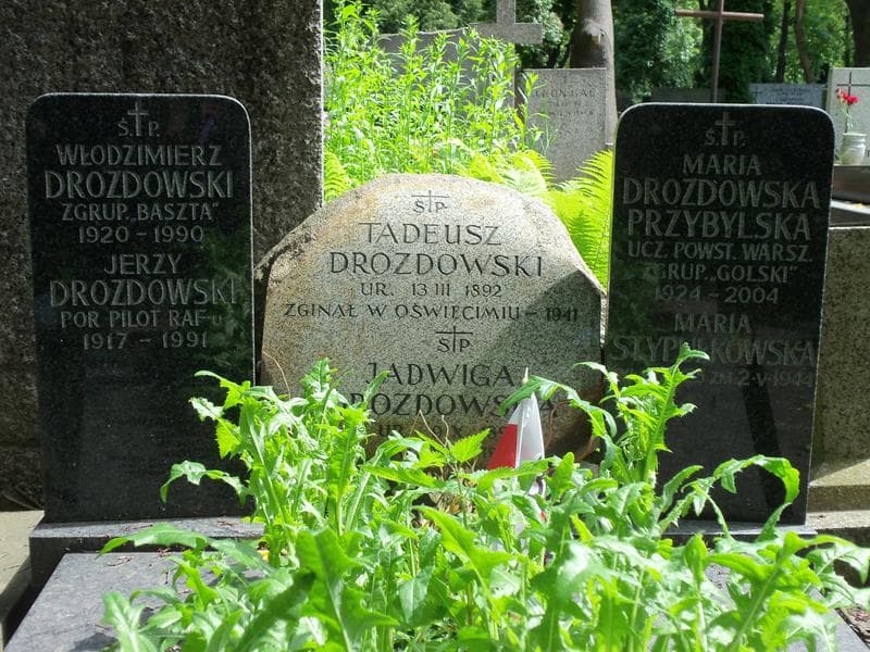 Zdjęcie grobu Maria Drozdowska Przybylska (2)