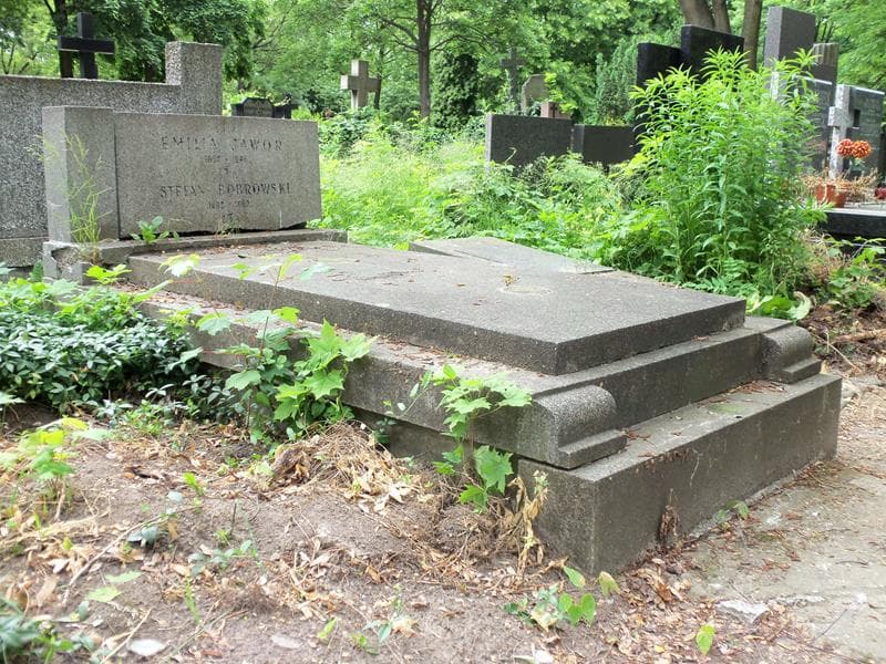 Zdjęcie grobu Emilia Jawor (1)