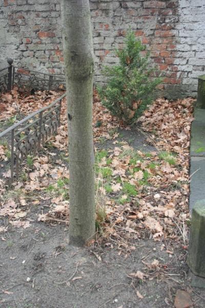 Zdjęcie grobu: Pole Grobowe