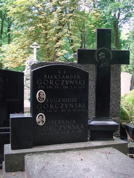 Zdjęcie grobu Aleksander Górczyński (2)