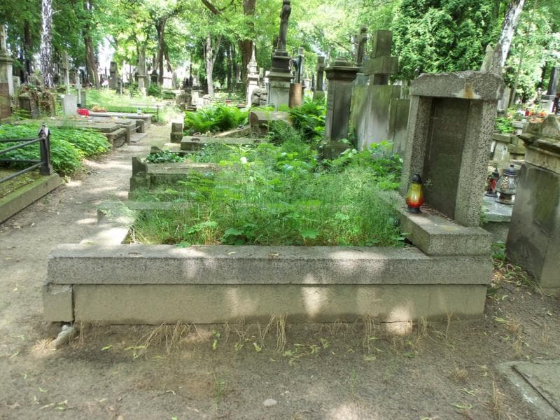 Zdjęcie grobu Stanisław Bryl (1)
