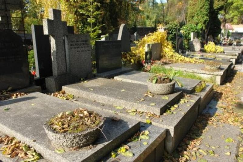 Zdjęcie grobu Stanisława Niewiarowska (1)