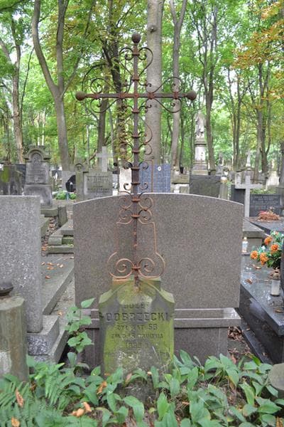 Zdjęcie grobu Józef Dobrzecki (2)