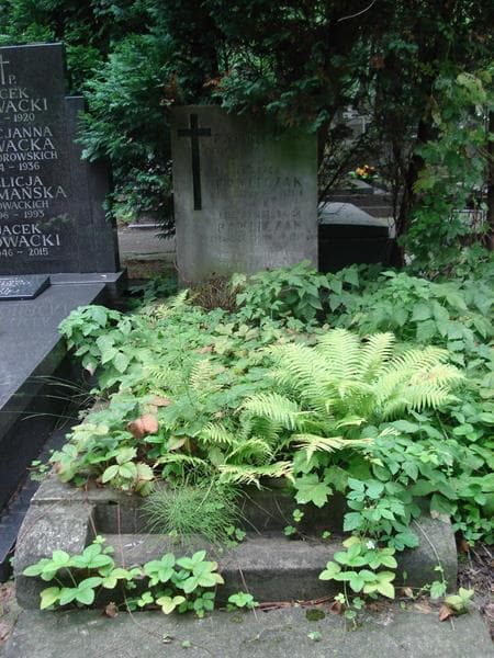 Zdjęcie grobu: Maria Podgórska