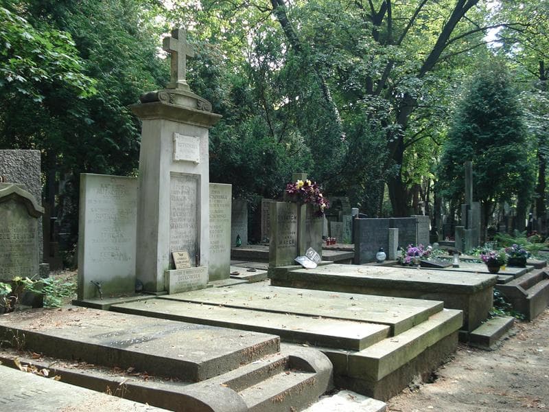 Zdjęcie grobu Michał Terlak (1)