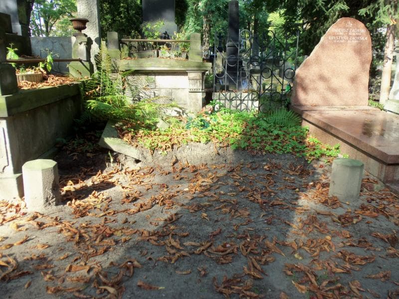 Zdjęcie grobu: Teodozja Krajewska
