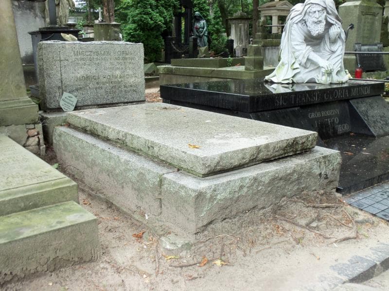 Zdjęcie grobu Mieczysław Hofman (1)