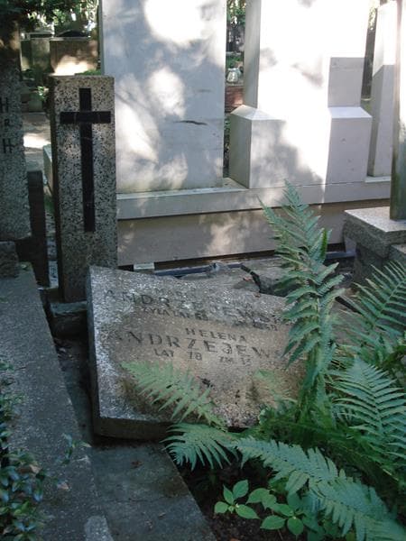Zdjęcie grobu Maria Regina Andrzejewska (1)