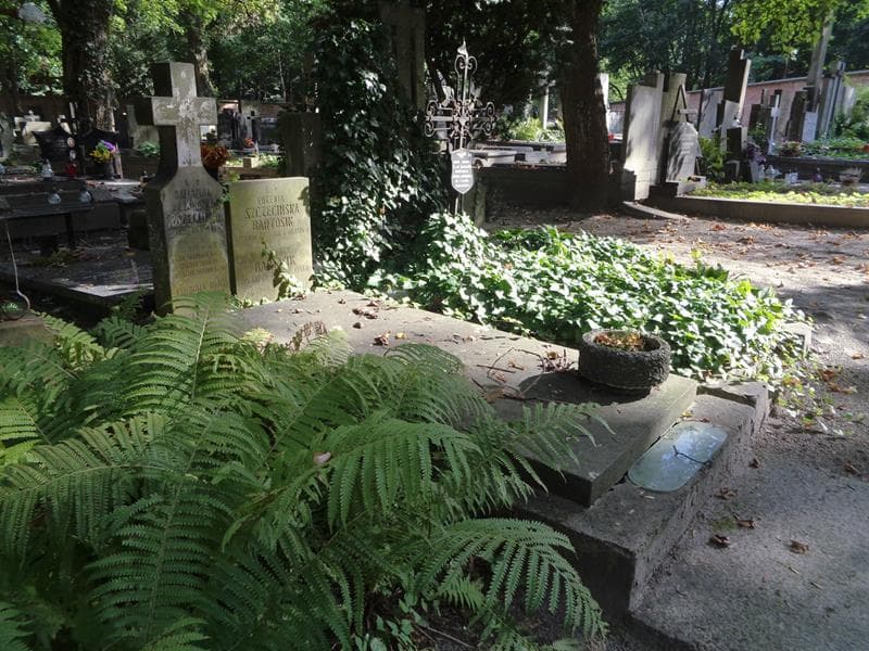 Zdjęcie grobu: Wincenty Bartosik