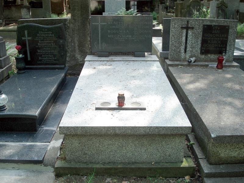 Zdjęcie grobu: Mieczysław Gudonis