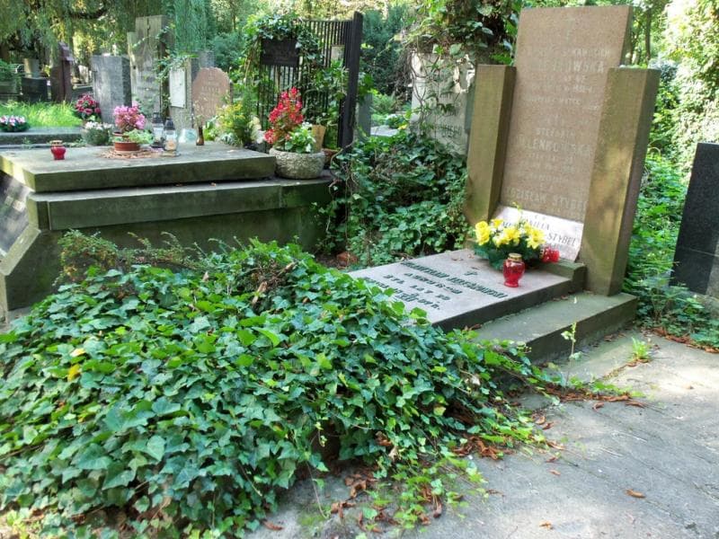Zdjęcie grobu Aniela Jeleńkowska (1)