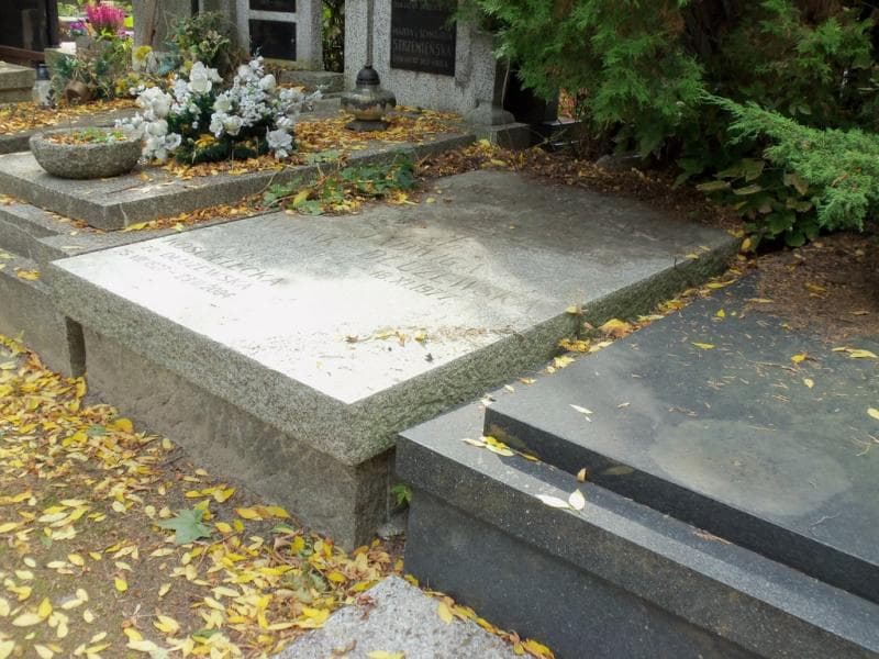 Zdjęcie grobu Jadwiga Nowak - Dłużewska (1)
