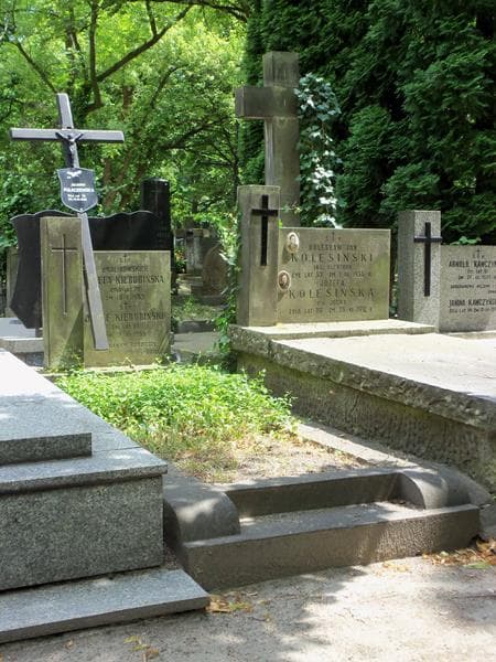 Zdjęcie grobu Julianna Pułaczewska (1)