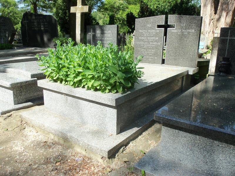 Zdjęcie grobu Anna Ciećko (1)