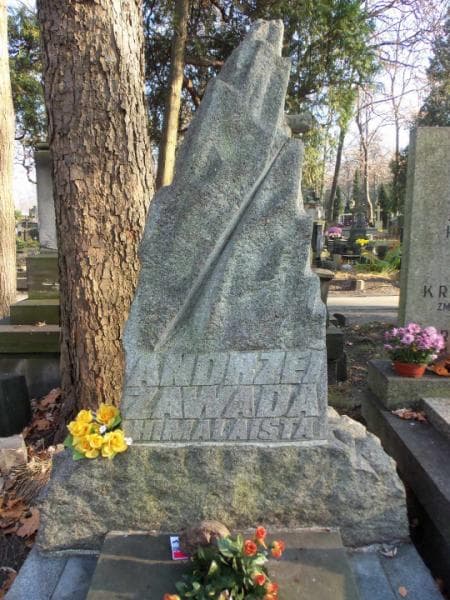 Zdjęcie grobu Kazimierz Chełchowski (2)
