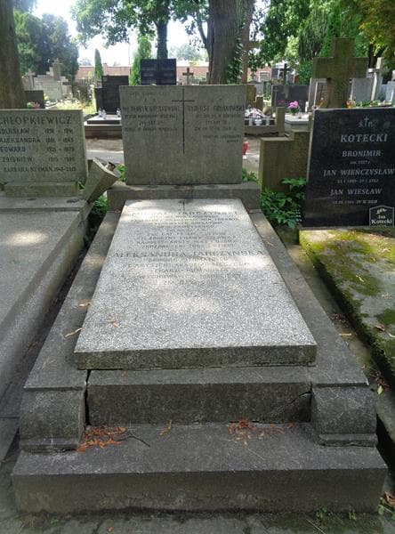Zdjęcie grobu Michał Tarczyński (1)