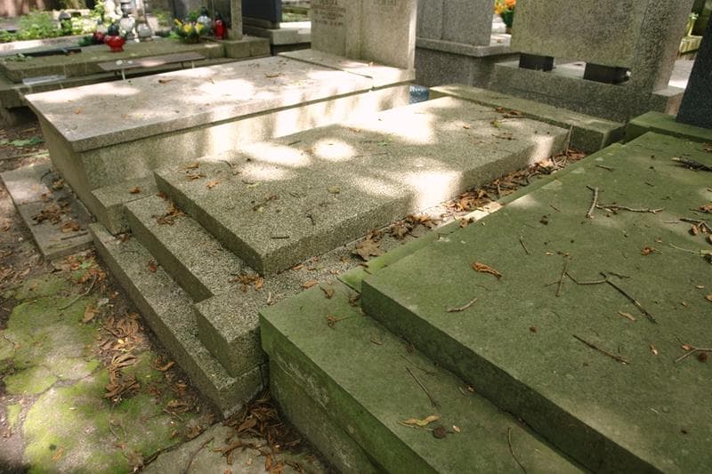 Zdjęcie grobu: Eugenia Szmak