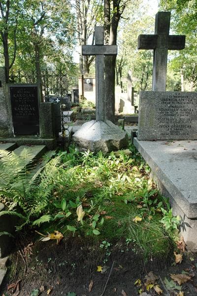 Zdjęcie grobu Wincenty Olszowski (1)