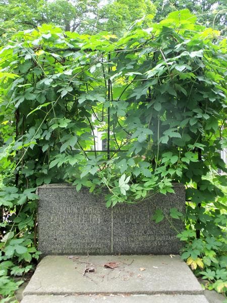 Zdjęcie grobu Joachim Karol Draheim (2)
