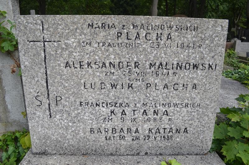 Zdjęcie grobu Aleksander Malinowski (2)
