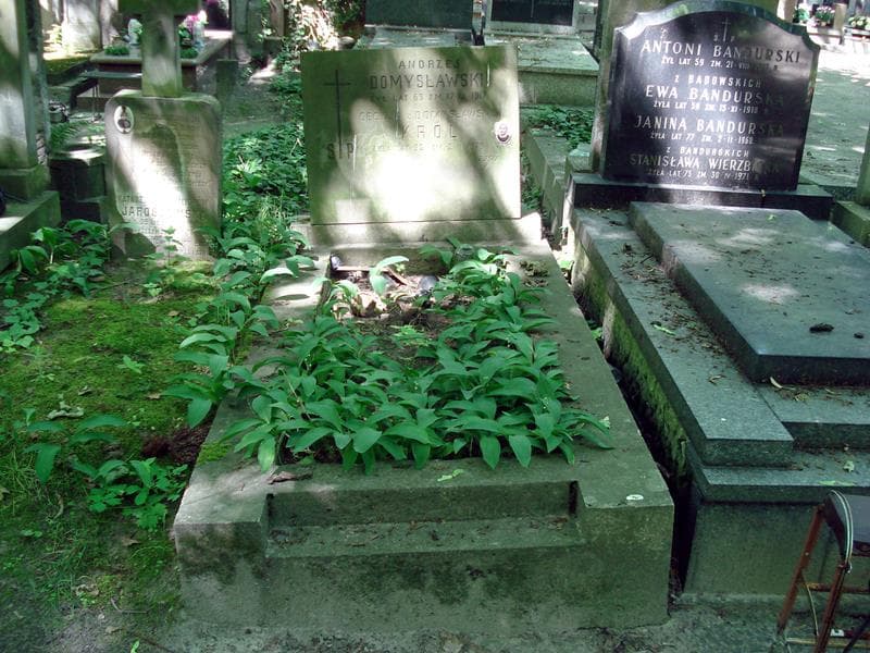 Zdjęcie grobu: Andrzej Domysławski