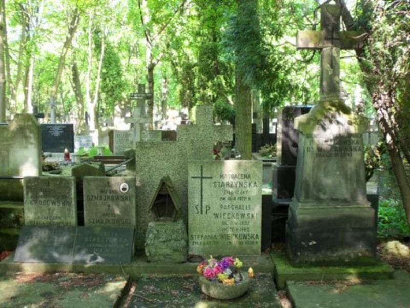 Zdjęcie grobu Bronisław Szmajkowski (2)