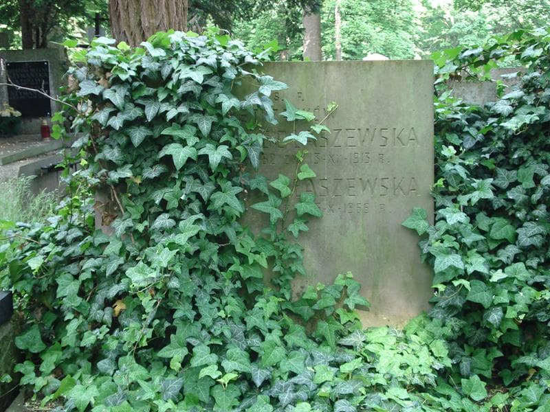 Zdjęcie grobu Julia Gołaszewska (1)