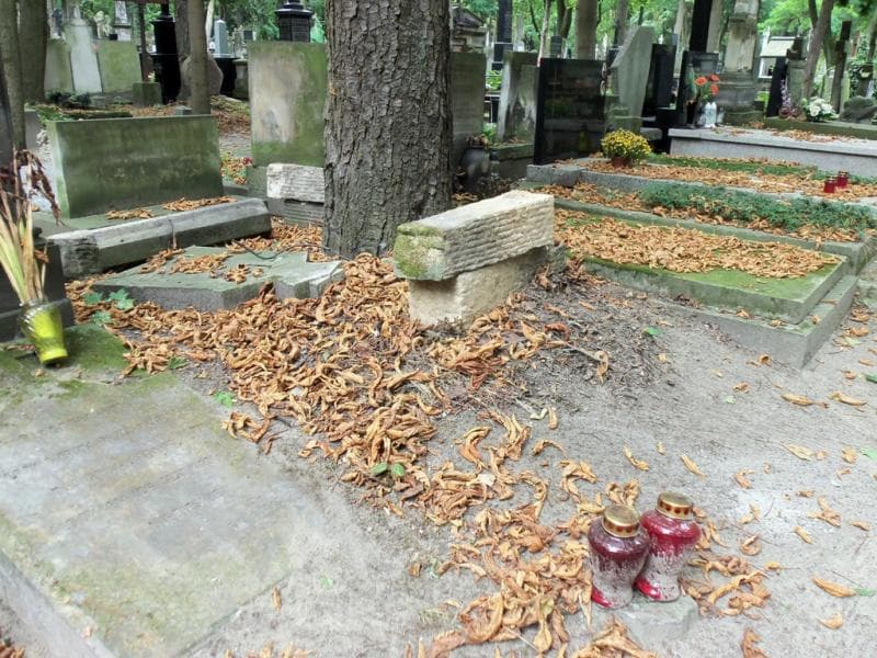 Zdjęcie grobu Anonim (1)
