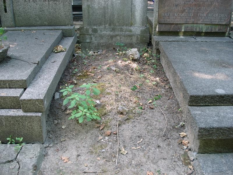 Zdjęcie grobu Pole Grobowe (1)
