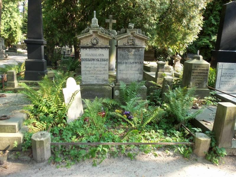 Zdjęcie grobu: Józef Słowikowski