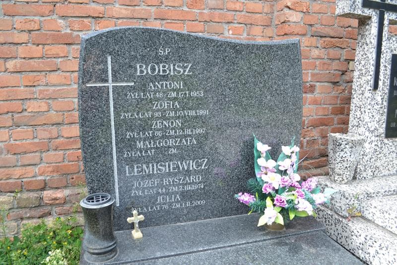 Zdjęcie grobu Julia Lemisiewicz (2)