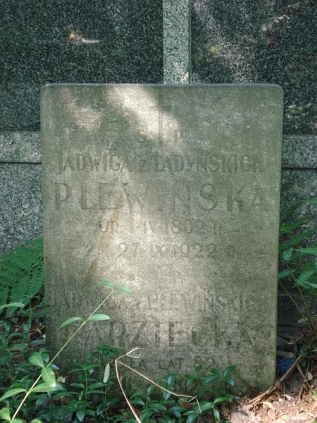 Zdjęcie grobu Jadwiga Plewińska (2)