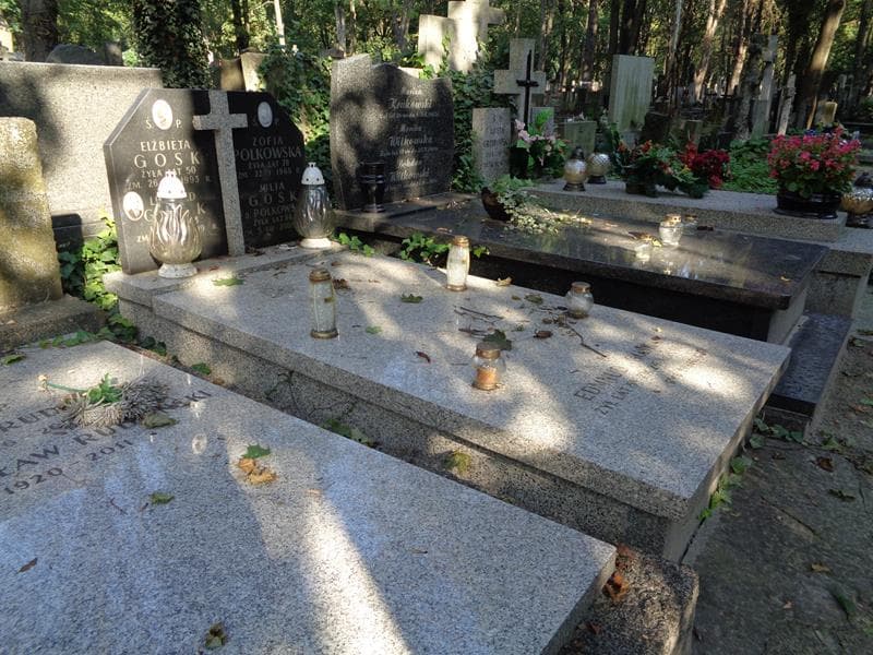 Zdjęcie grobu: Julia Gosk