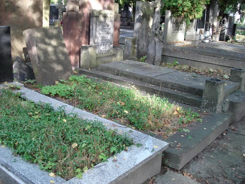 Zdjęcie grobu: Wanda Czechowska Makowska