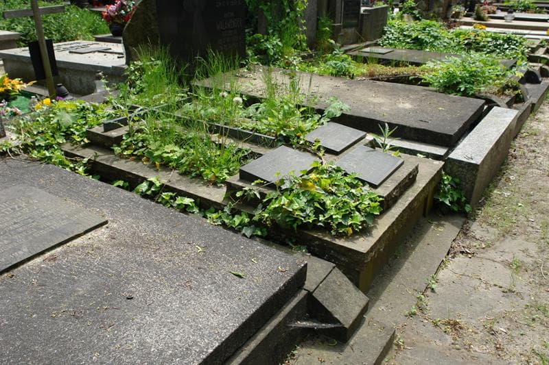Zdjęcie grobu: Jadwiga Chomentowska