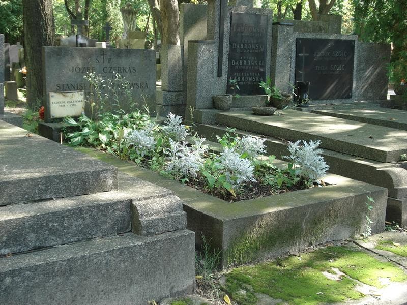 Zdjęcie grobu Józef Czerkas (1)