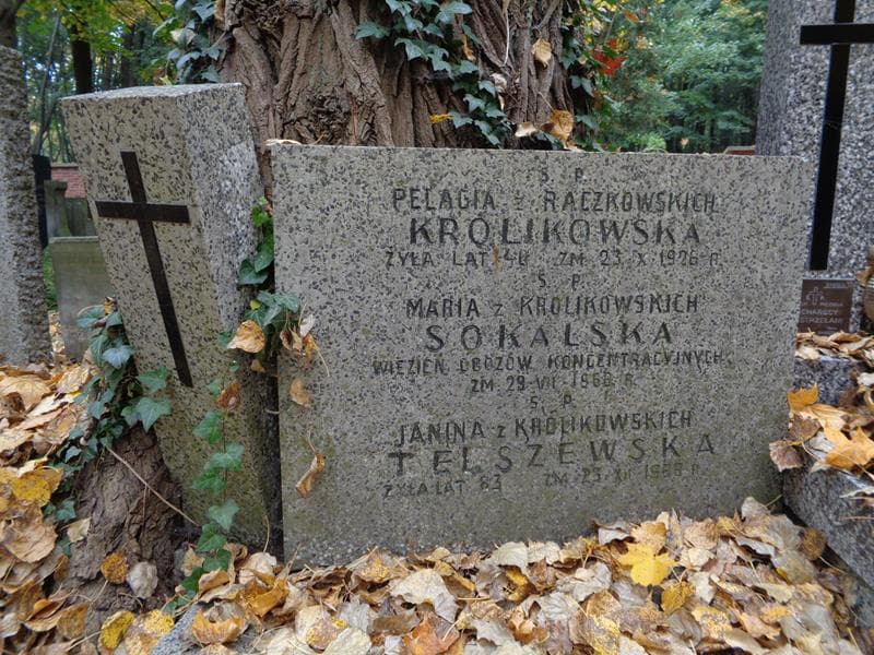 Zdjęcie grobu Janina Telszewska (2)