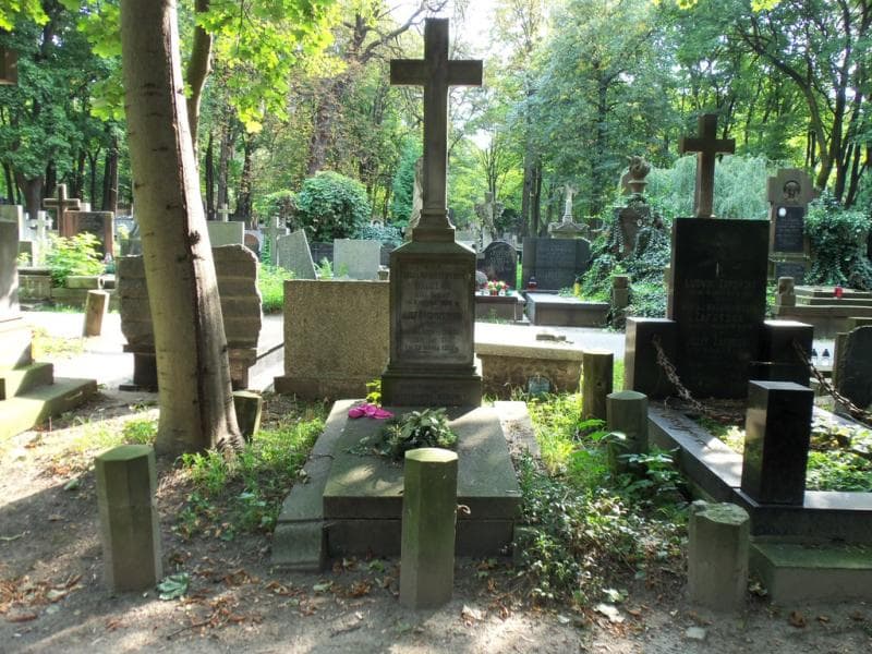 Zdjęcie grobu: Stanisław Walczak