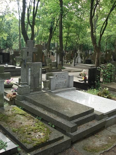 Zdjęcie grobu Ignacy Hołysz (1)