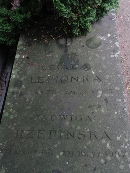 Zdjęcie grobu Cecylia Lepionka (2)