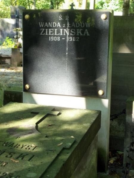 Zdjęcie grobu Jan Ewaryst Domański (2)