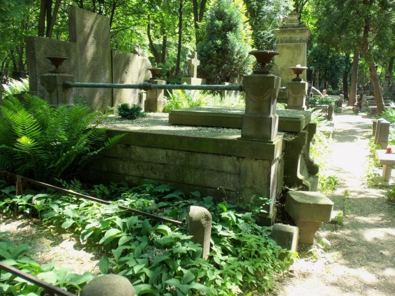 Zdjęcie grobu Emilja Górska (1)