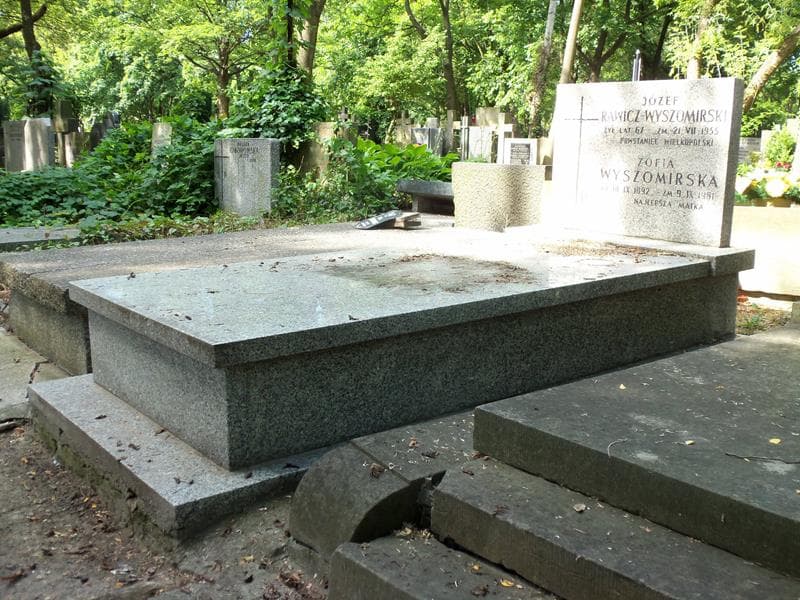 Zdjęcie grobu Zofia Wyszomirska (1)