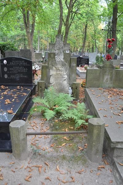 Zdjęcie grobu Wincenty Orłowski (1)