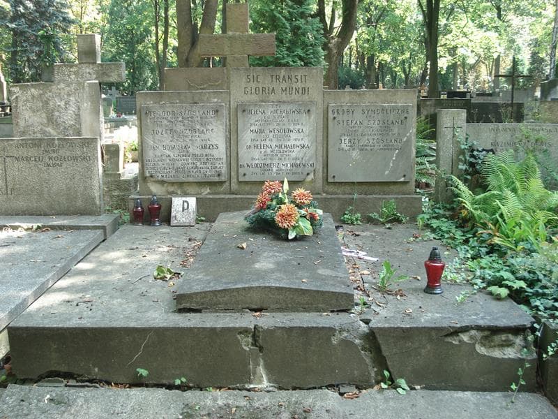 Zdjęcie grobu: Jan Bogusław Marzys